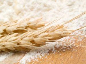 ORGANIC FLOURS